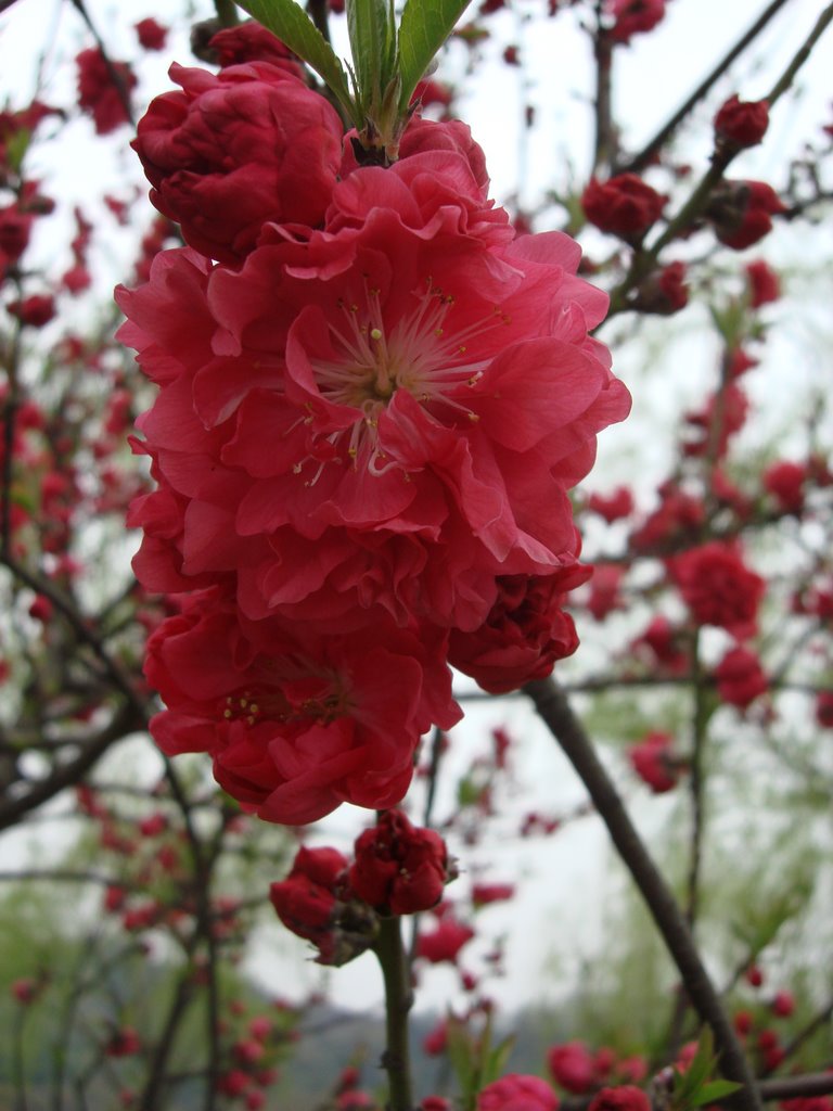 Hangzhou,China by stranger danger