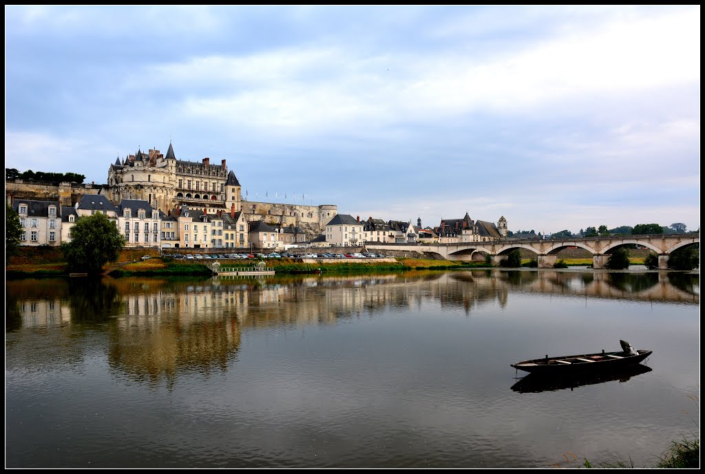 Château d'Amboise by Darja Brus