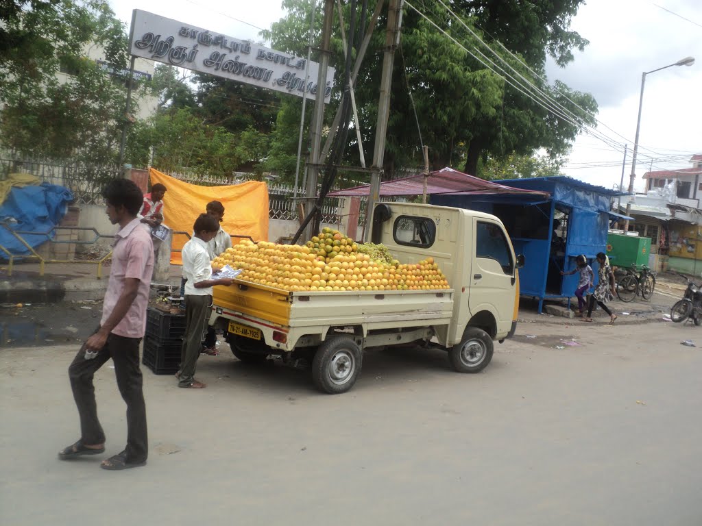 Thiruveethipallam, Kanchipuram, Tamil Nadu 631501, India by s.vaidhinathan