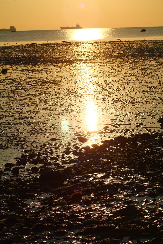 Bembridge Sunrise by Dicky King