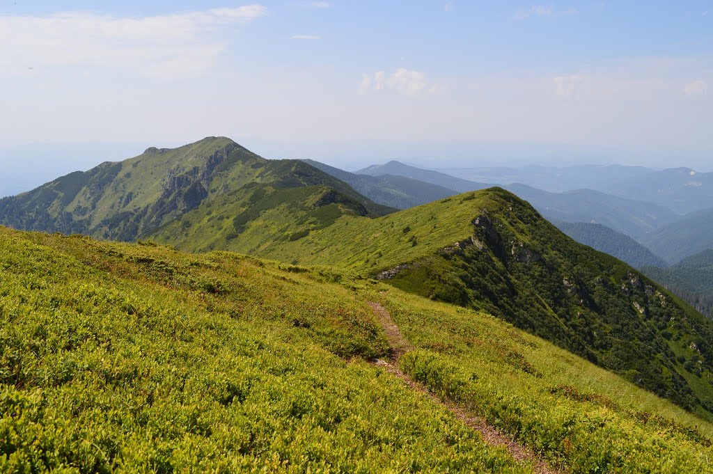 Rakhivs'kyi district, Zakarpats'ka oblast, Ukraine by Максим Максимів