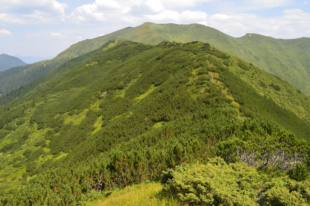 Unnamed Road, Maramureș County, Ukraine by Максим Максимів