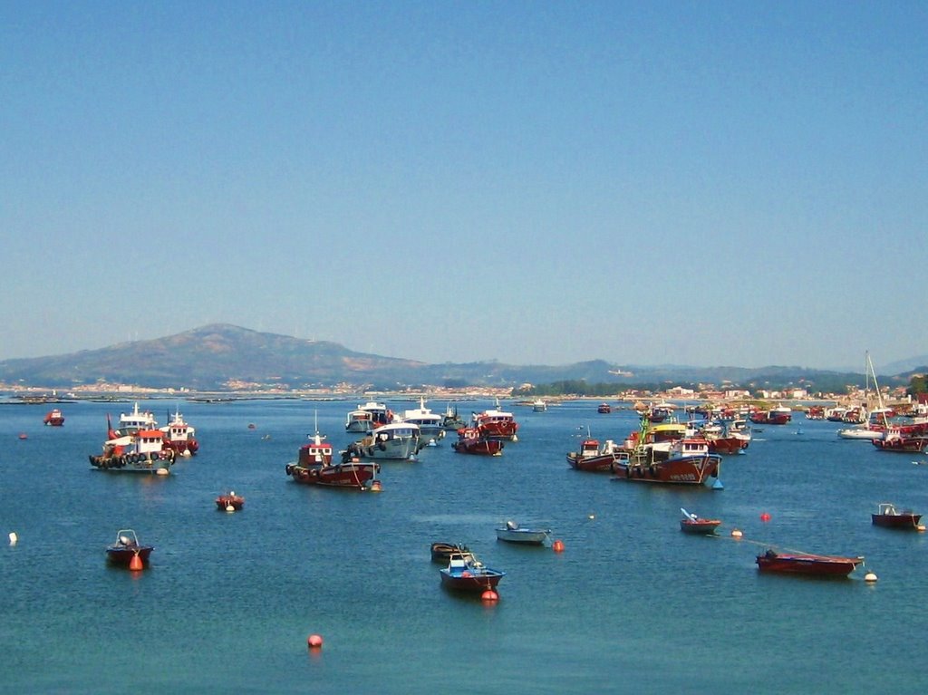 Pesqueros en la Isla de Arousa by Polito_1936