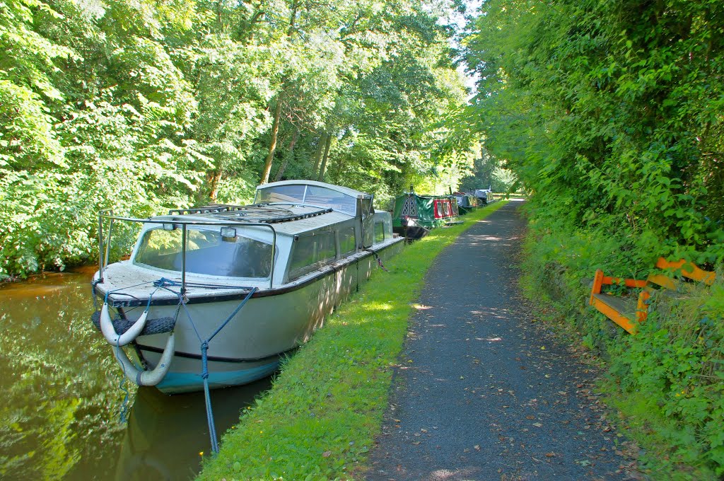 "Whaley Bridge" high peak. derbyshire. july 2013 by kinderbill