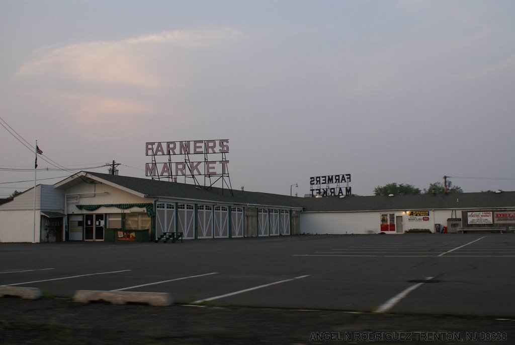 FARMERS MARKET ON SPRUCE STR by ANGEL N RODRIGUEZ