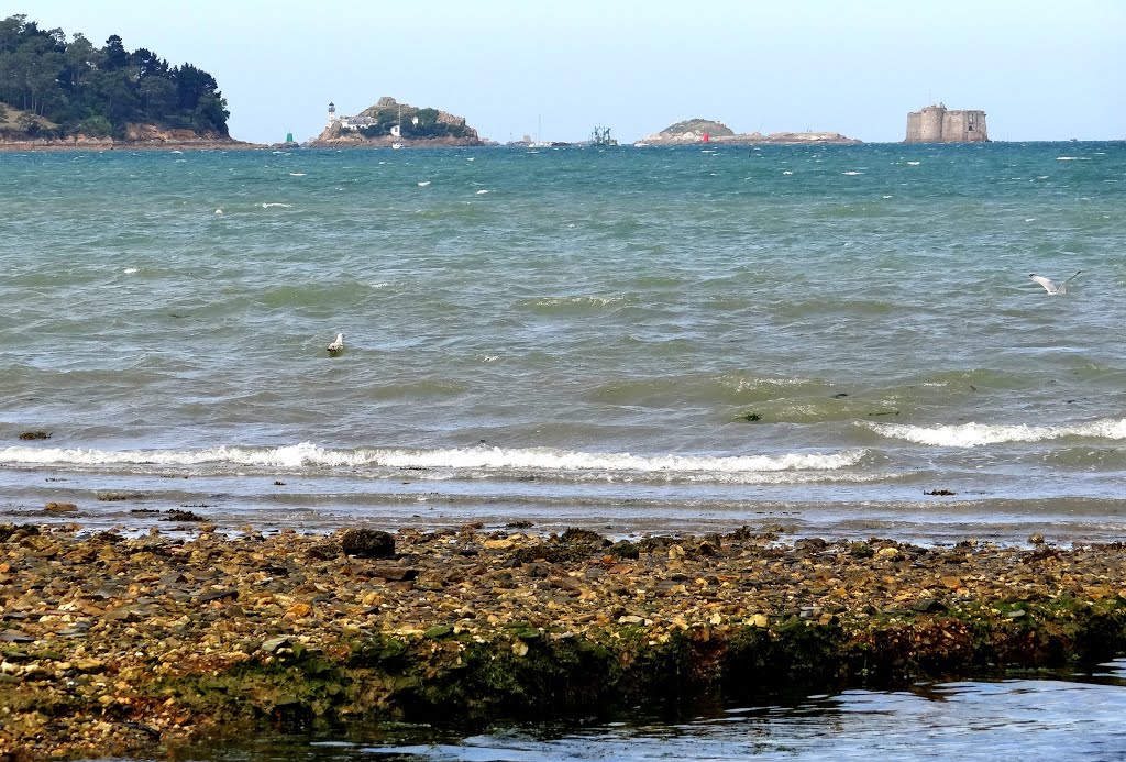 L'île Louët,l'île Noire,le château du Taureau,de l'embouchure du Frout by Jean-Pierre Pourcine…