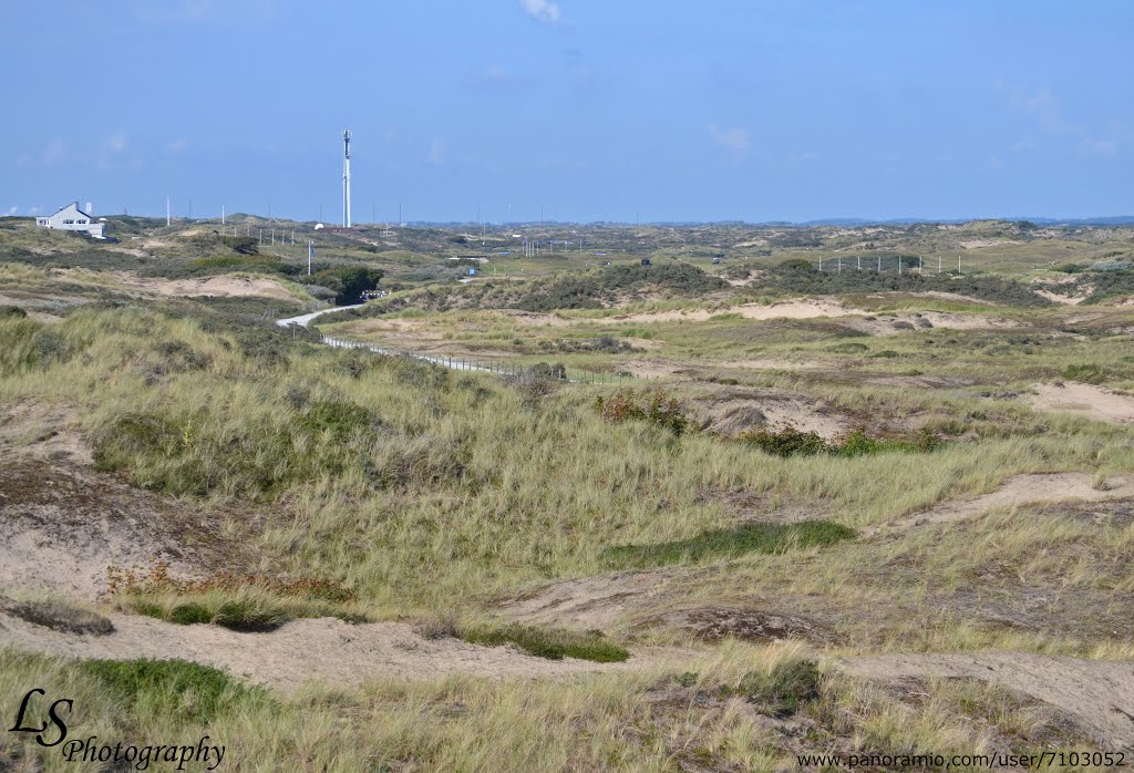 Dunes, Noordwijk by Lara Schäumer