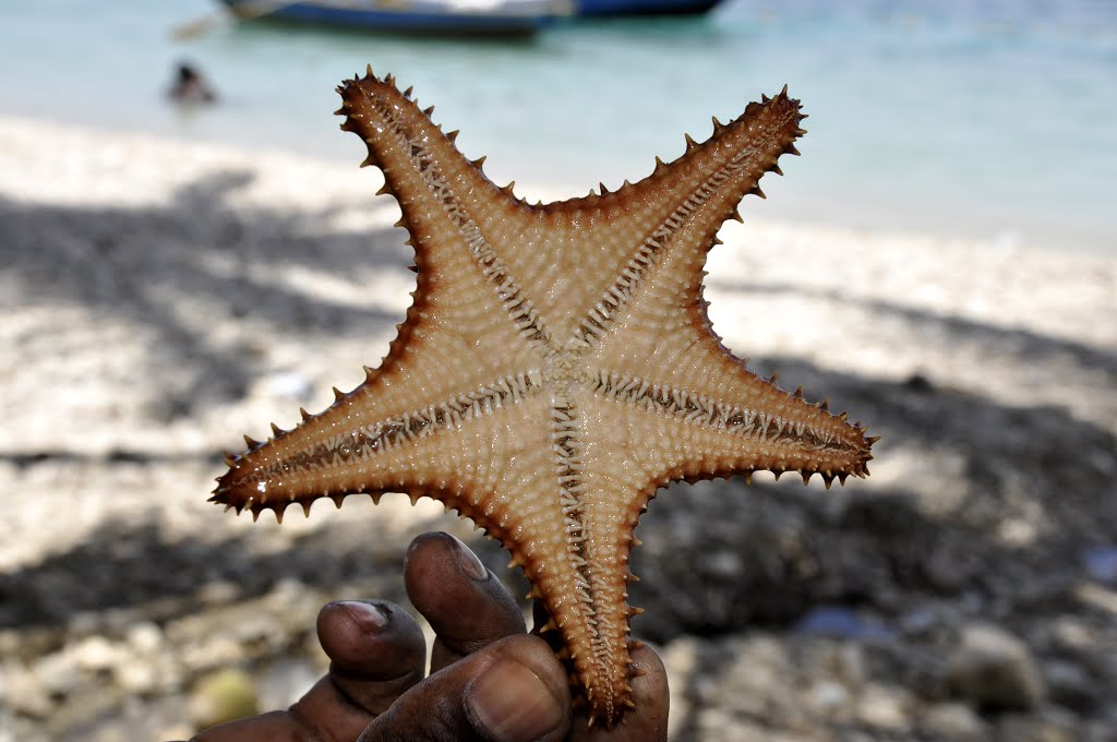 RN1, Haiti by Francois VINCENT