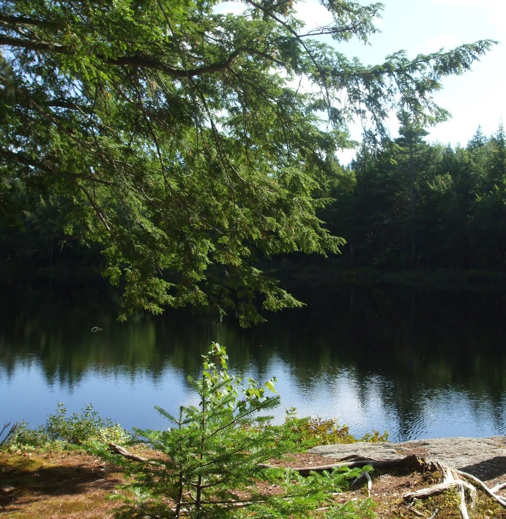 Nova Scotia, Kejimkujik National Park, Hemlocks framing the Mersey River by kh21