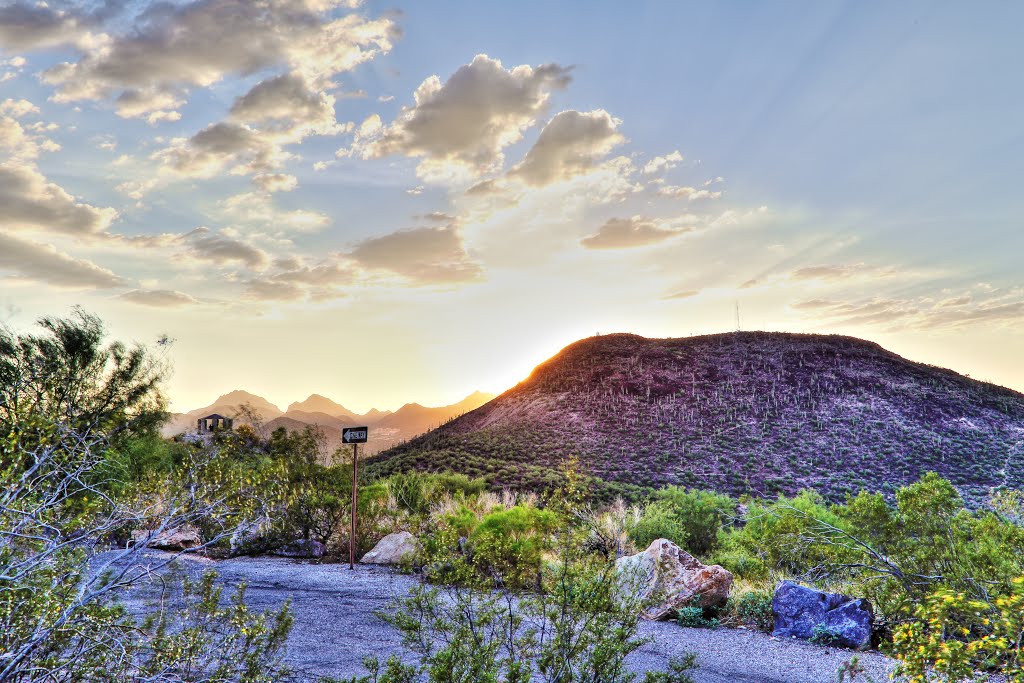 Menlo Park, Tucson, AZ, USA by Sergio Dojaque