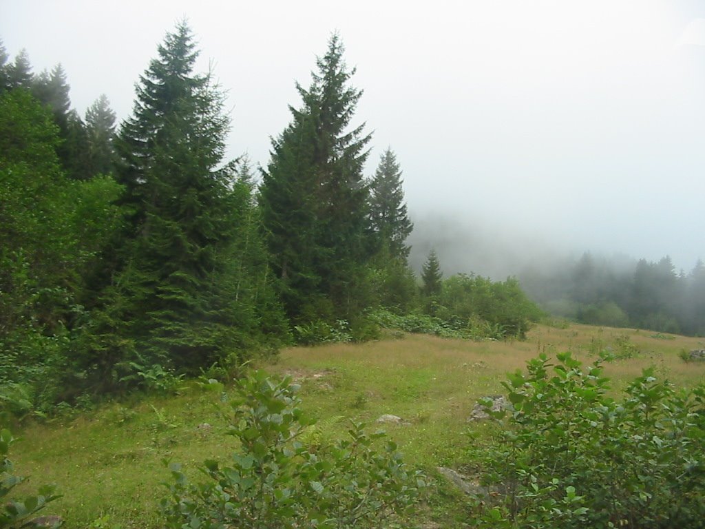 Ayder_Kavrun Yolu by Figen Çakmakoğlu