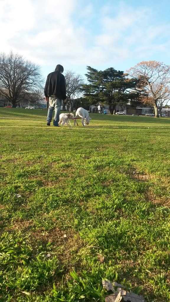 Parque de perros by bernii polichella