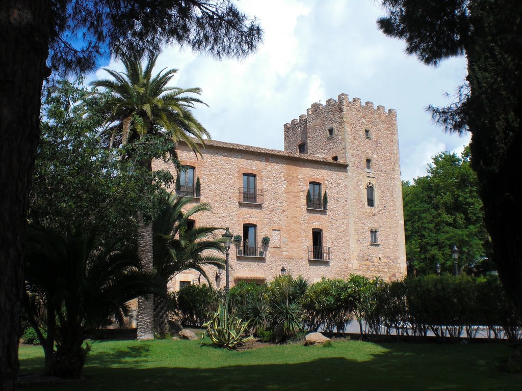 Castell de Vilafortuny by Carles G