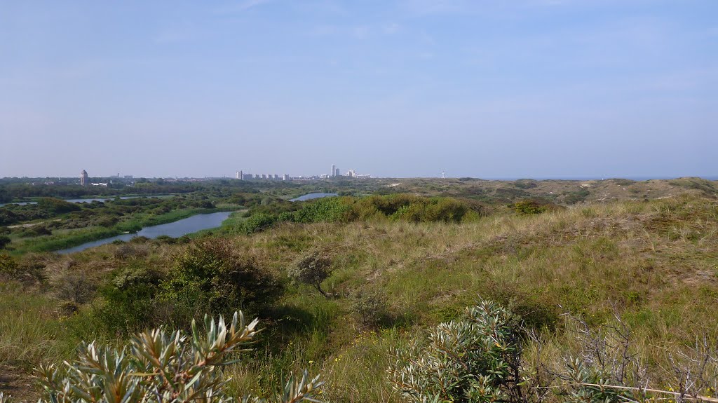 Dünen von Scheveningen by BusterB