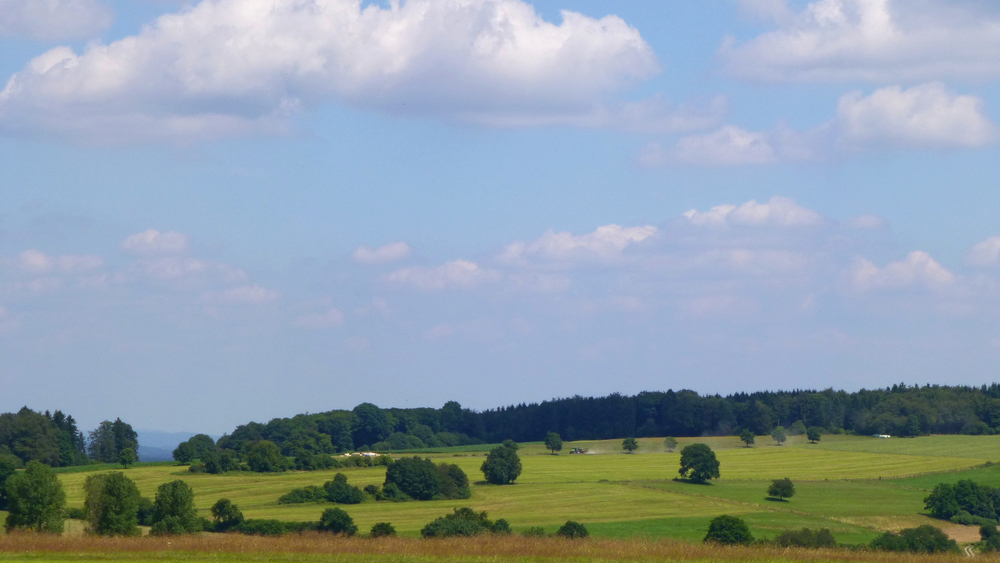 Bei Schwarzenborn / 2 by H.Garnjost