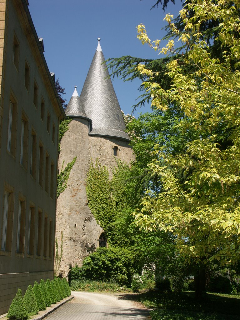 Schloss Schengen, der alte Turm by esfritzje