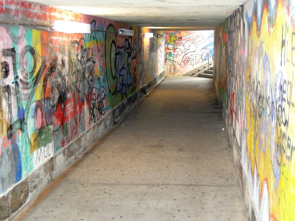 Vollgeschmierter Tunnel by bke