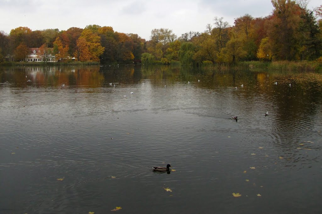 Sołacz, Poznań, Poland by Fotospa