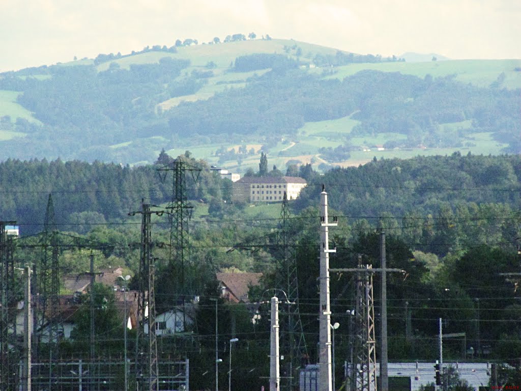 Blick von Amstetten zum Mostviertler Bildungshof Gießhübl im Sommer by Hans Bauer