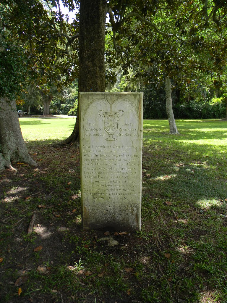 Monument to Charles Pinckney, Signer of the Constitution by Michael Miller