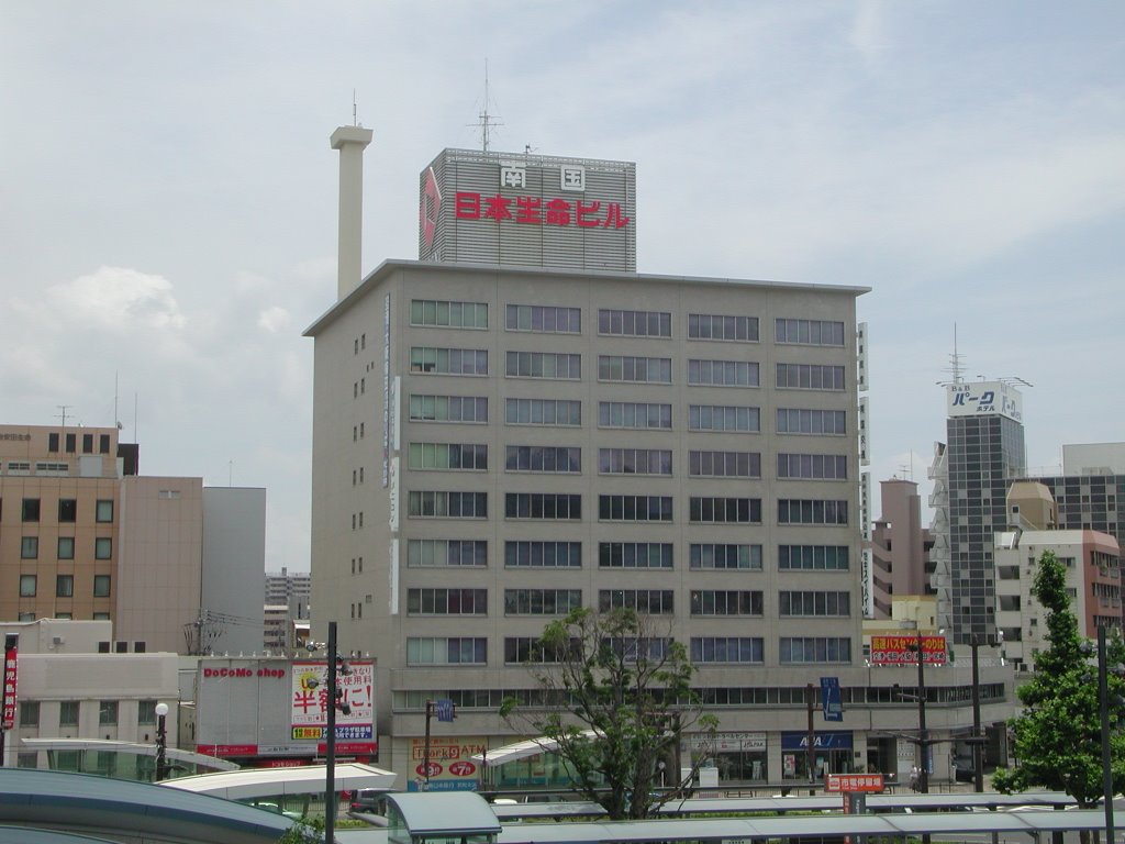 Kagoshima-Nangoku Nippon Seimei bldg. by sakura-fubuki