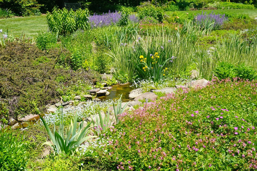 Ladew Topiary / "Iris Garden" by Richard McL