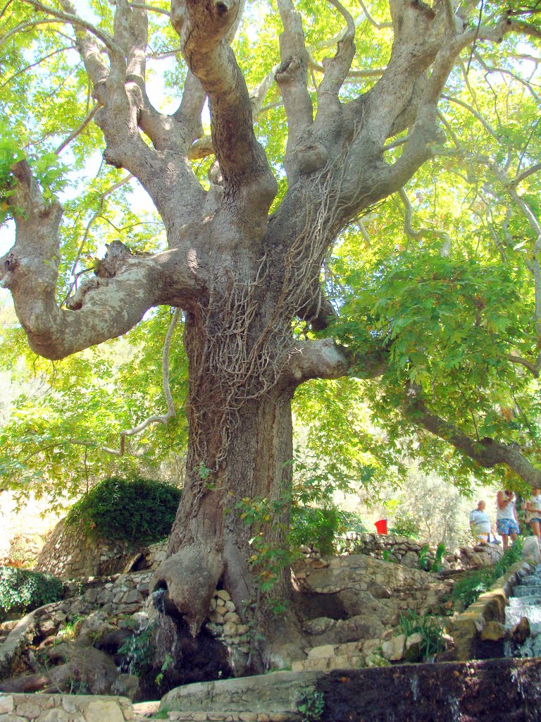 Yaka Park - Fethiye by haimani