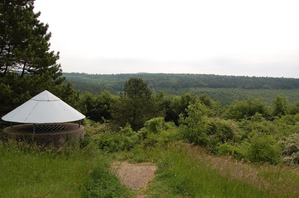 Blick vom Abri Quatre Cheminées in südöstliche Richtung über das Ravin des Vignes hinweg, wo früher das Dorf Fleury stand. by CptHornblower