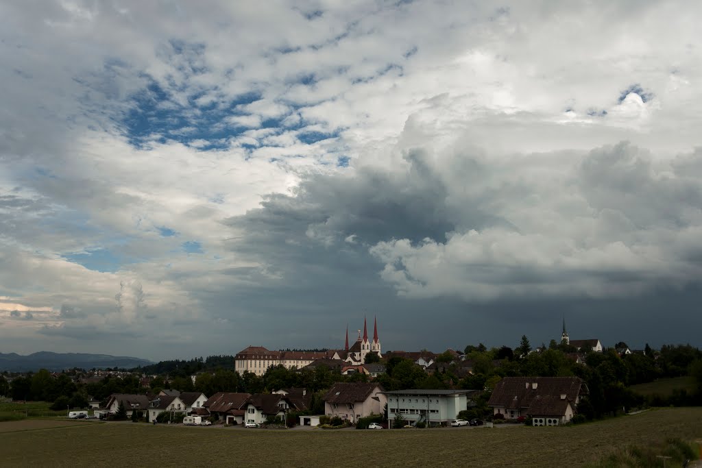 Monastery of muri, argovia by Karl Gerber