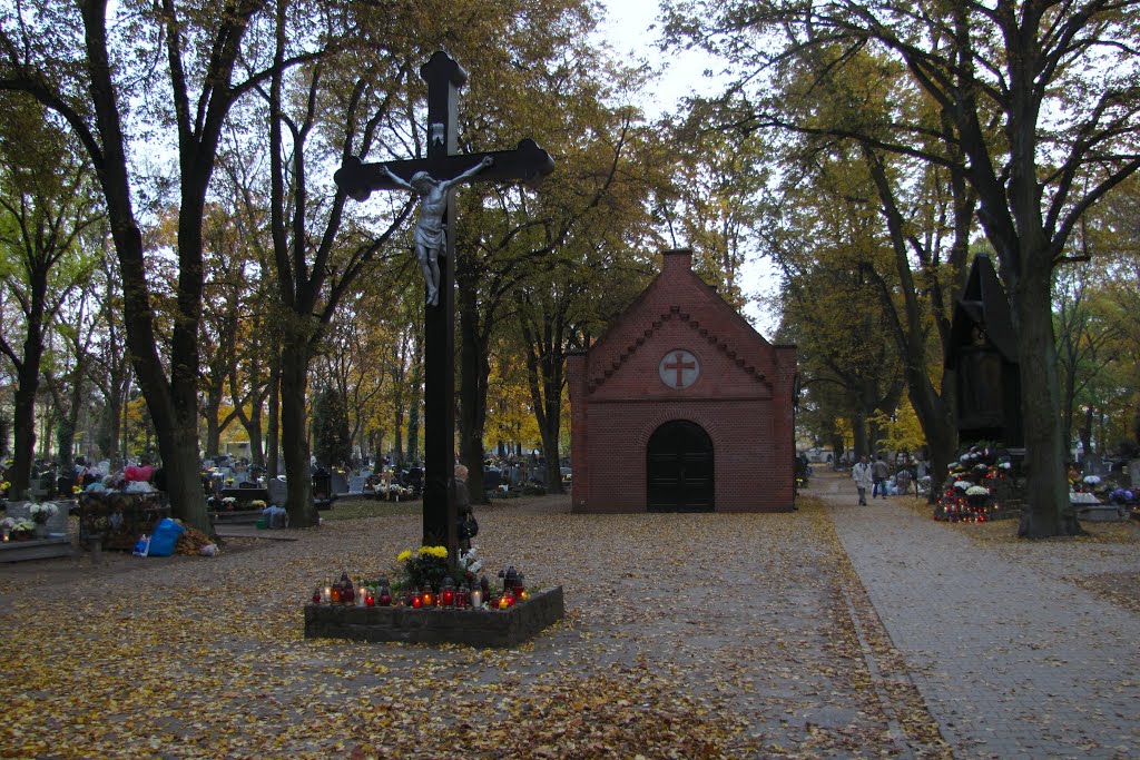 Ogrody, Poznań, Poland by Fotospa