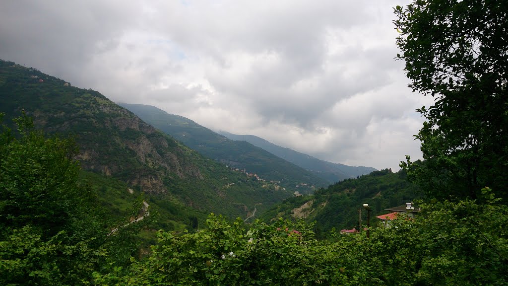 Merkez, 61750 Maçka/Trabzon, Turkey by Özgür SEZGÜN