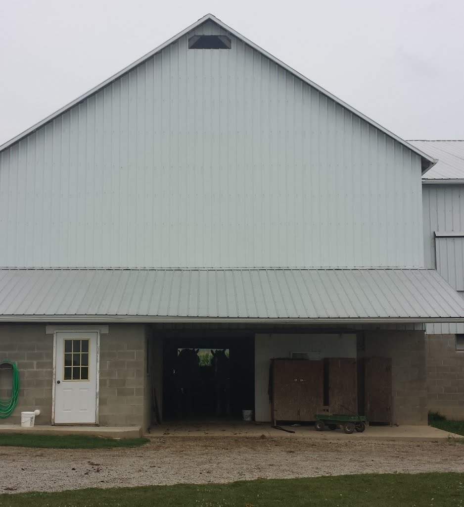 Can you see the team in the barn? by JB The Milker