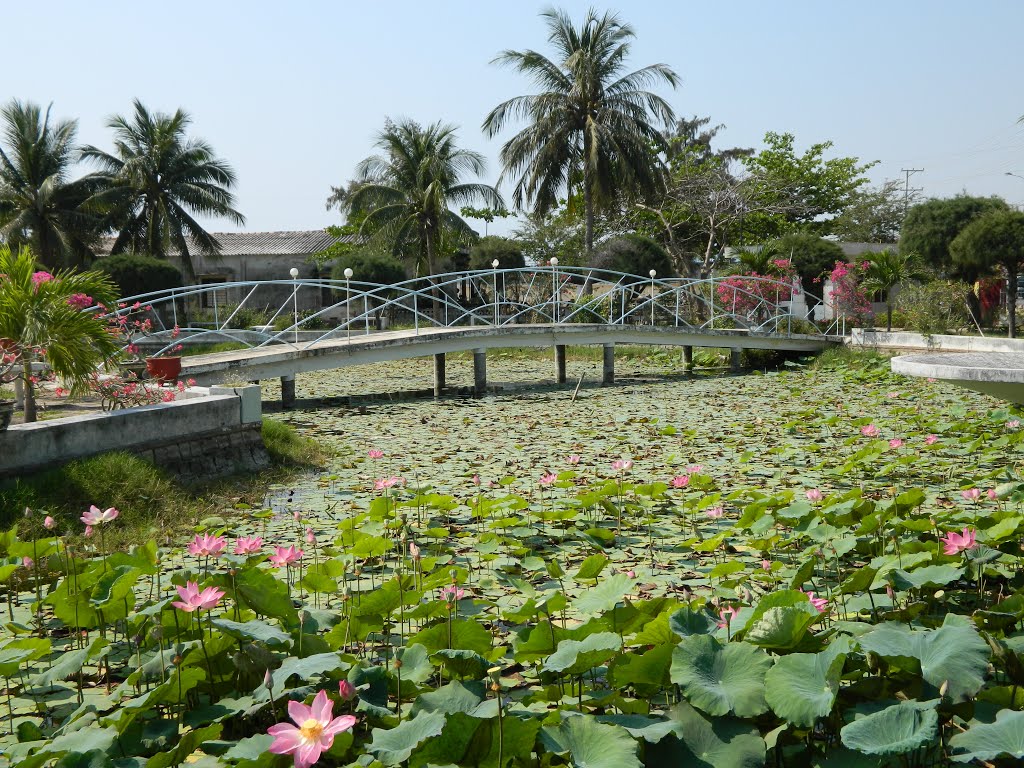 NTLS Ninh Hải by Đào Việt Dũng