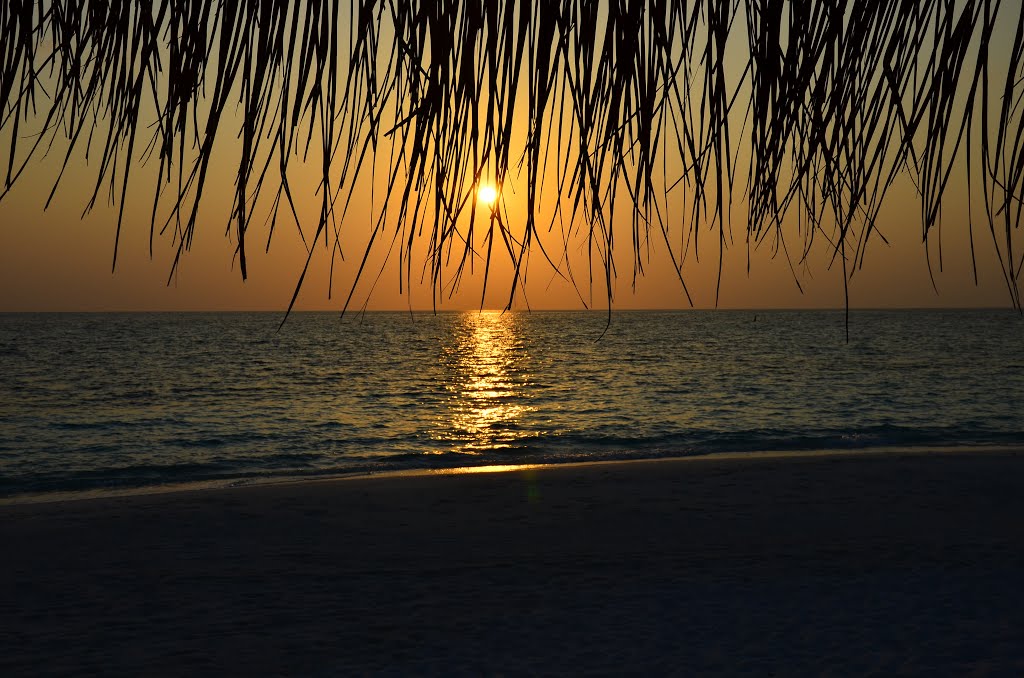 Alifu Alifu Atoll, Maldives by Adi83