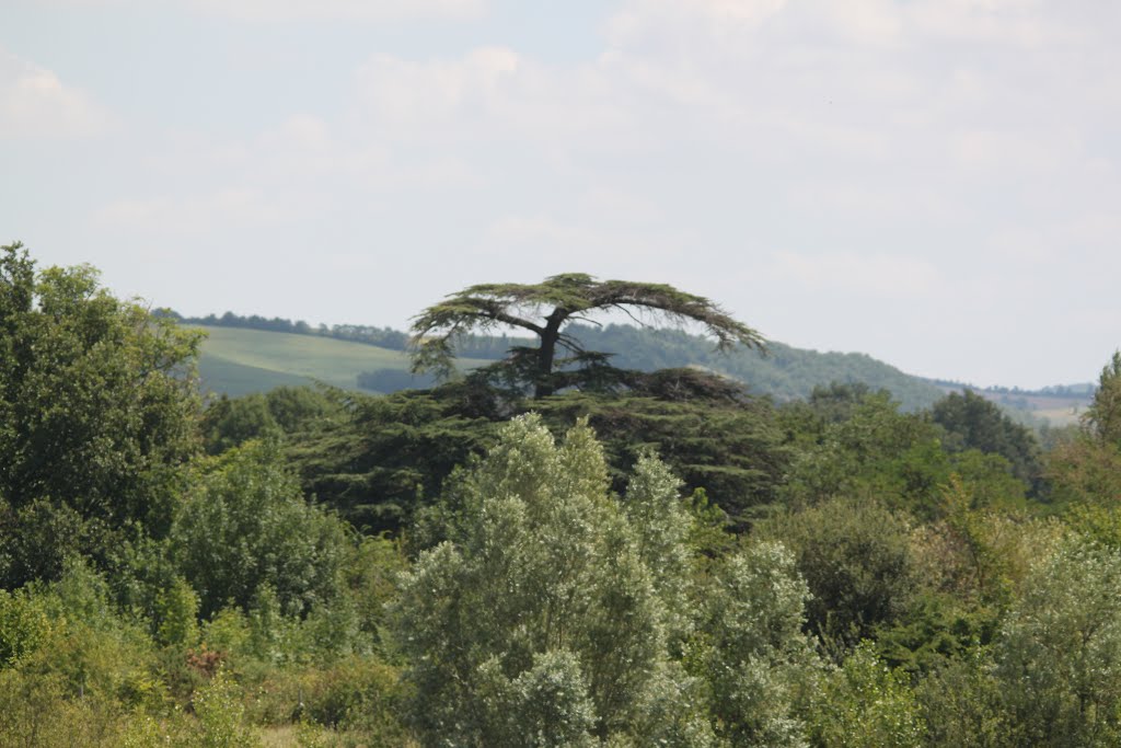 09270 Mazères, France by Claudine Cabon Rouzi…