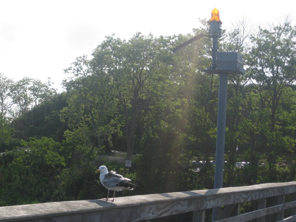 Merrick Road Park - fishing dock light by NY-ker