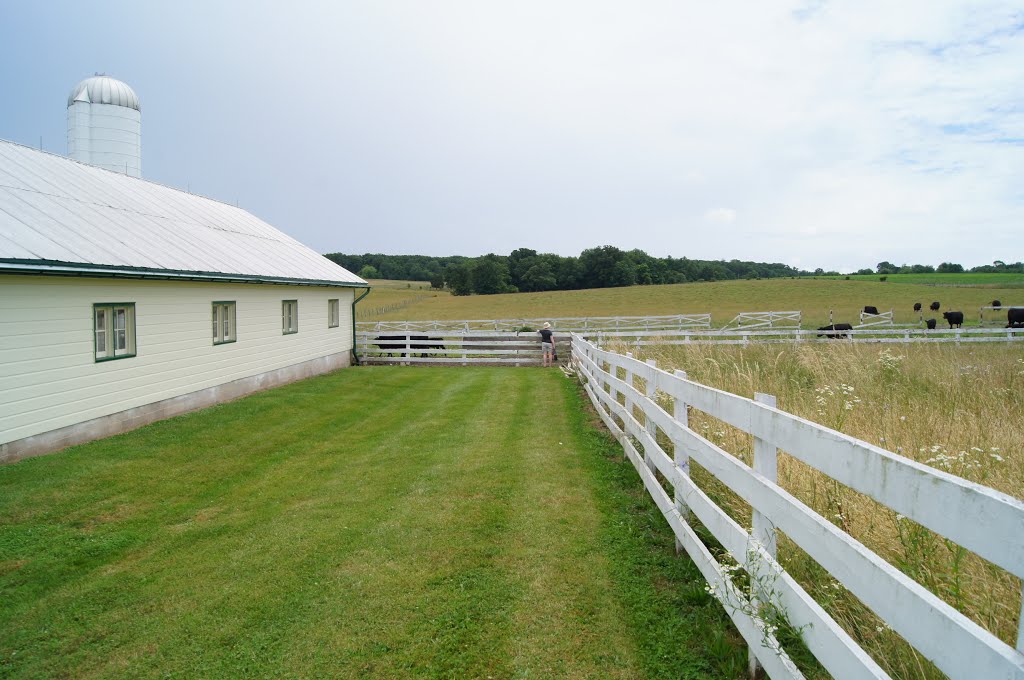 Eisenhower House - Pastures on working farm by kiwanji