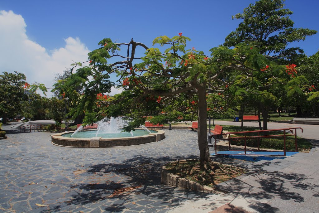 Parque Luis Muñoz Rivera-San Juan by Ricardo David Jusino…