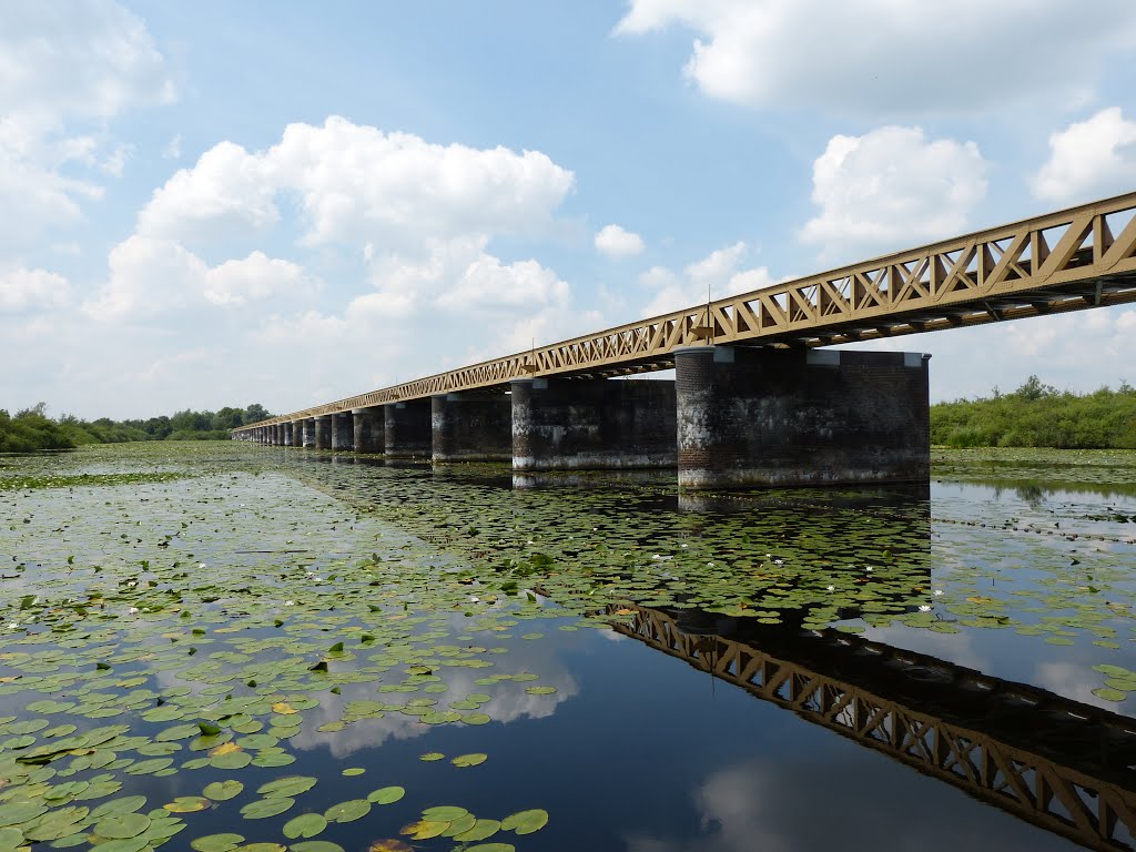 Moerputtenbrug by Pierre Willems