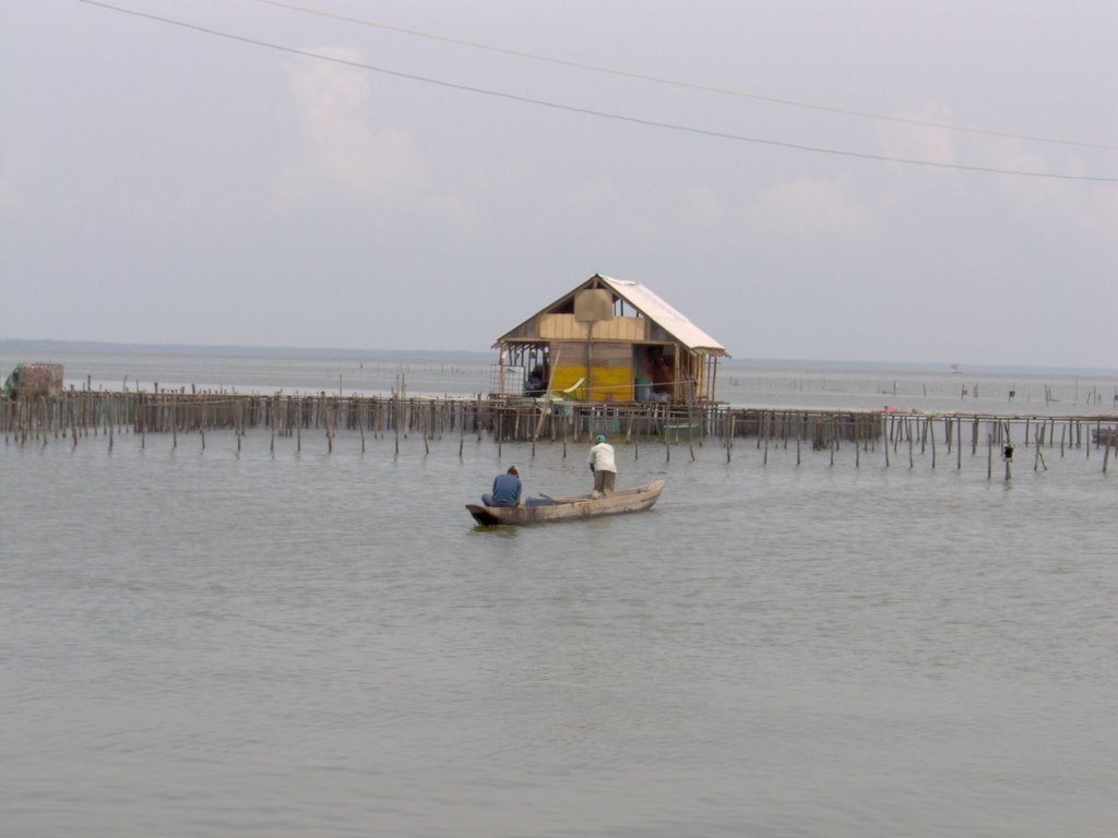 Tasajera - Cienaga Grande. by Ed.Me.Mo.