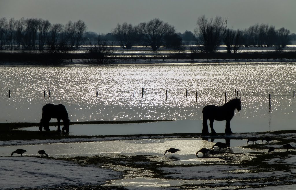 Wageningen, hoog water by espee