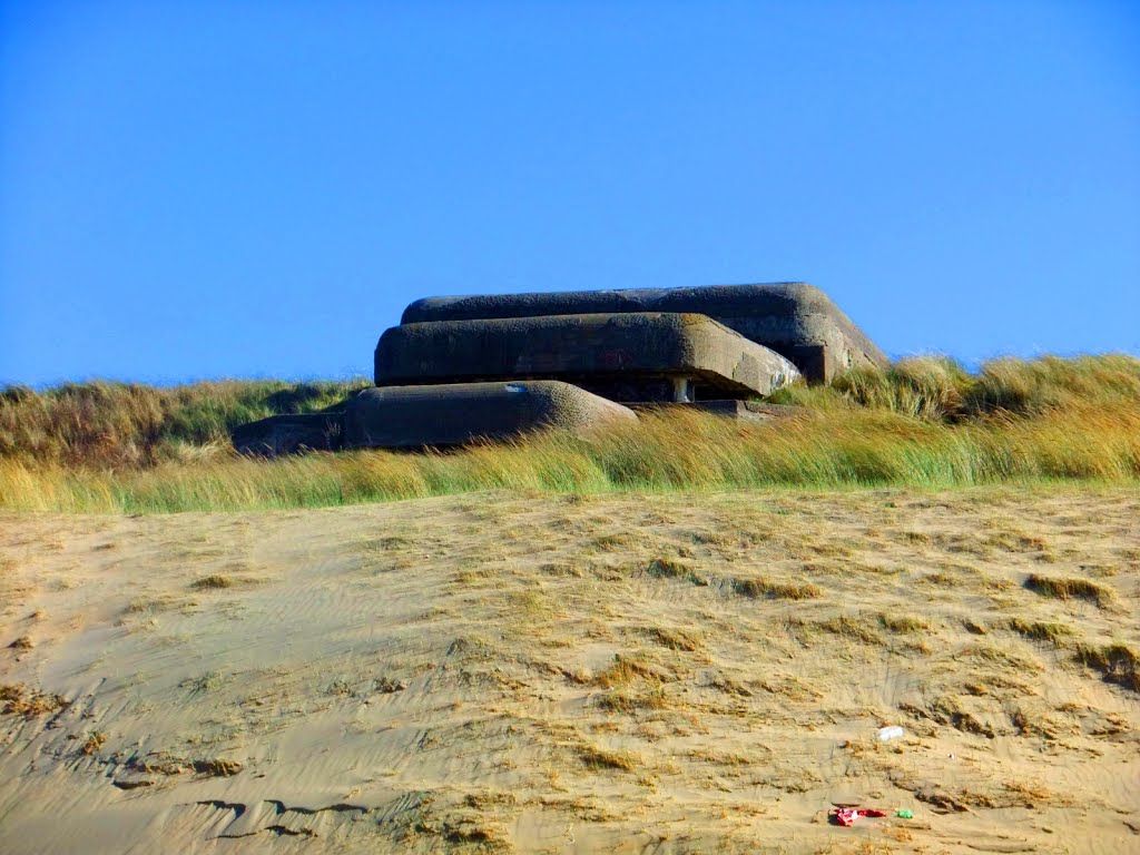 Oostduinen, Den Haag, Netherlands by Georgios Patavoukas.…