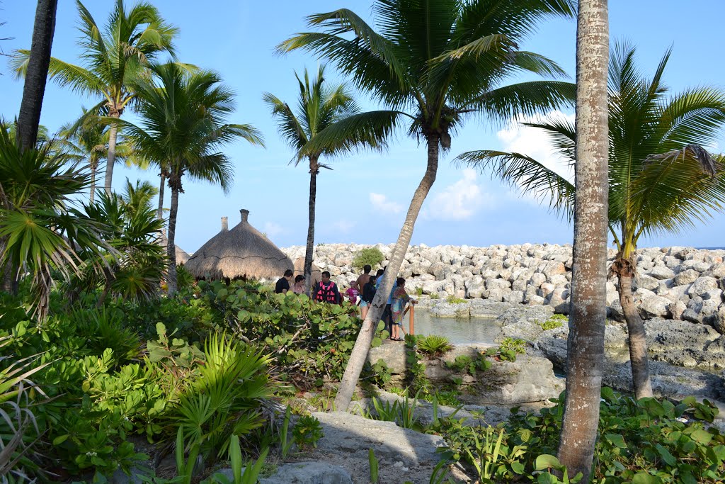 Solidaridad, Quintana Roo, Mexico by Barby Fimbres