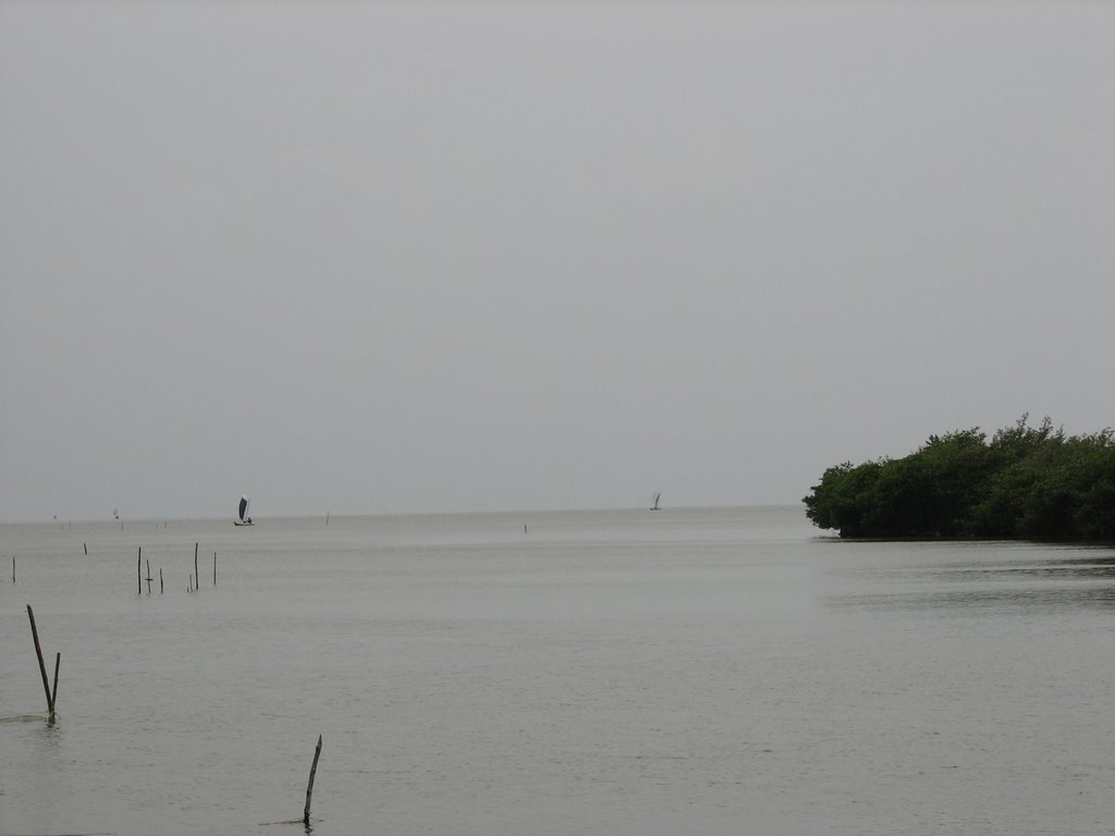 Cienaga Grande - Magdalena. by Ed. Me. Mo.