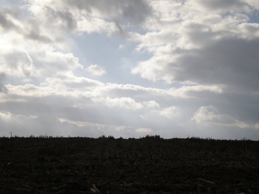 Ciel d'hiver et prairie by matthieu szafoni