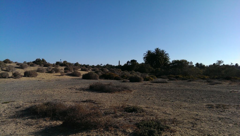 Maspalomas by Raul Cabrera