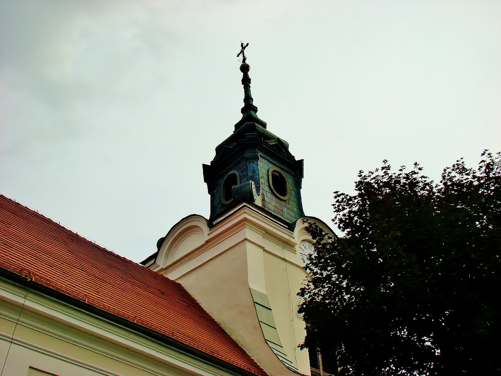 Wolbórz, Poland by Witold Lewandowski