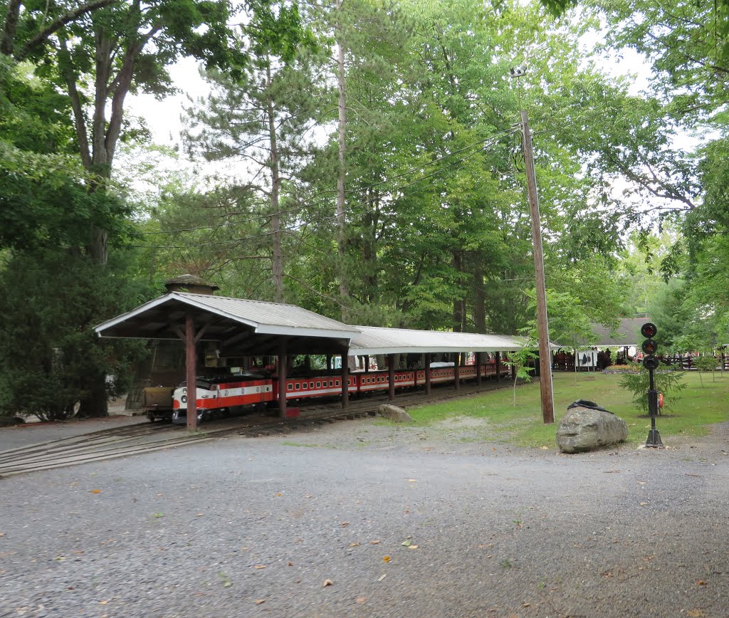 1-1/2 Mile Pioneer Train by Adam Elmquist