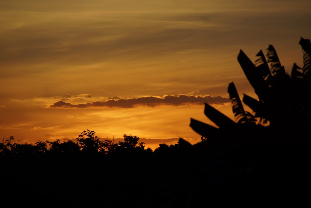 Eldorado dos Carajás - State of Pará, Brazil by Marco Souza