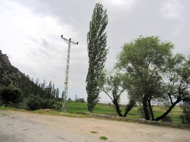 Karadut pınarı , Osman Ünlü by Osman Ünlü